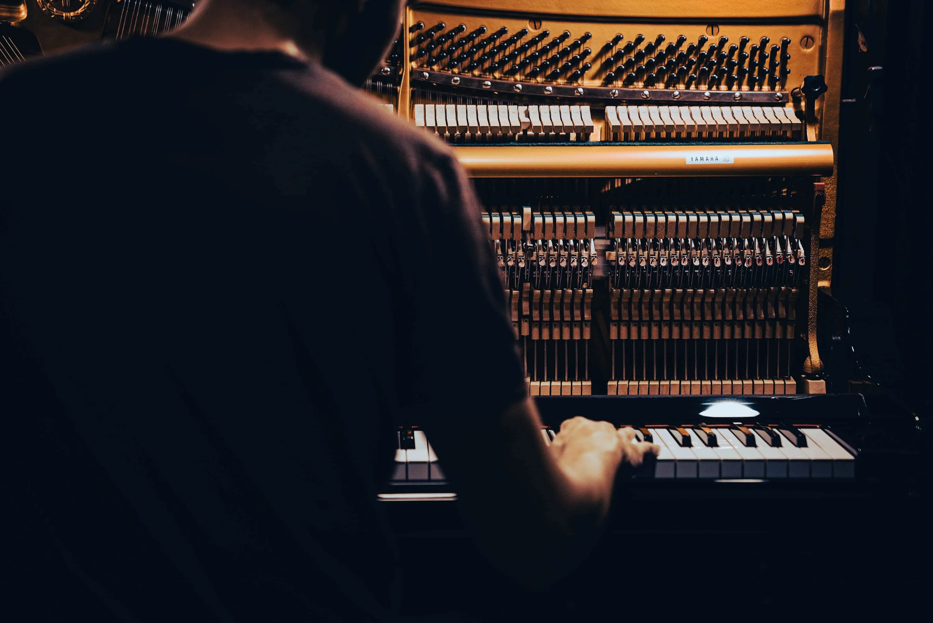 Welcome to Our Store